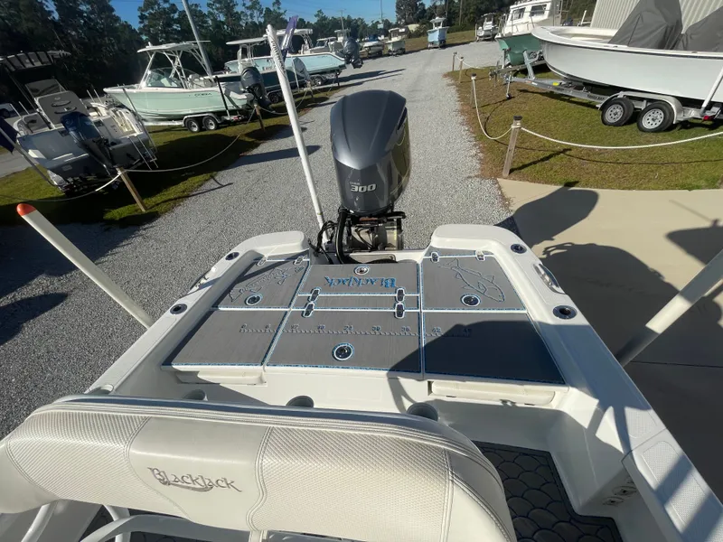 Slide: The Image of Blackjack 256 Bay 2020 - 25