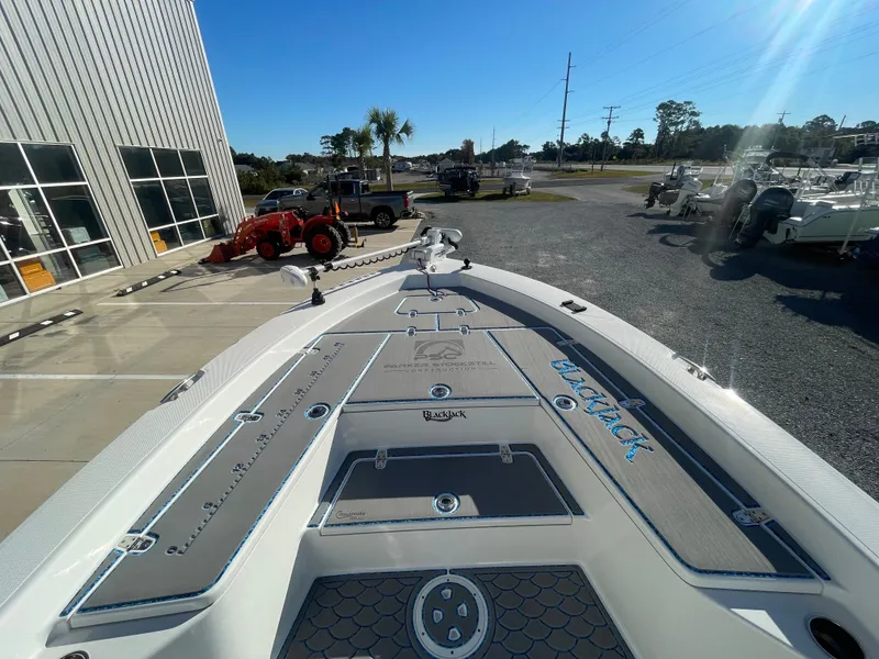 Slide: The Image of Blackjack 256 Bay 2020 - 9