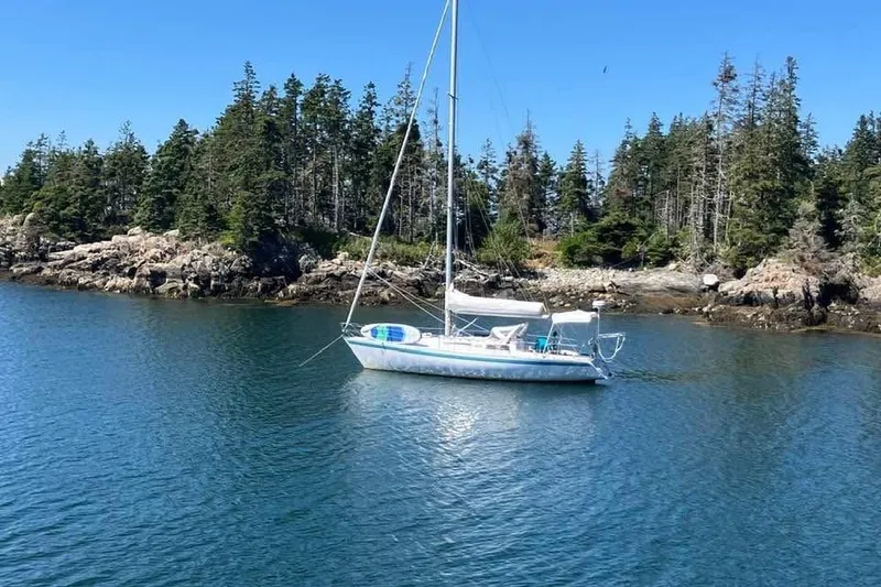 The Image of Sailboat Barberis 38 (1984) anchored near forested shoreline under clear blue sky. - 0