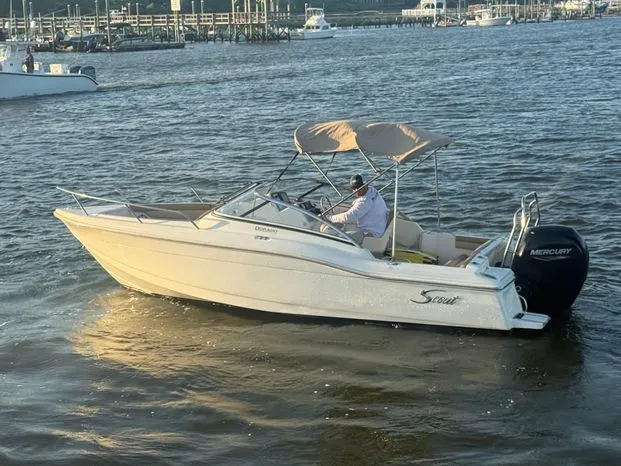 The Image of Scout 210 Dorado 2021 - 0