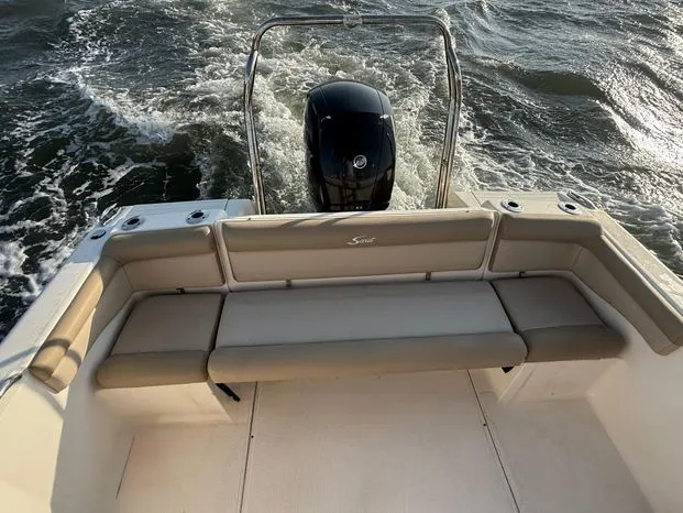 Slide: The Image of Scout 210 Dorado 2021 - 3