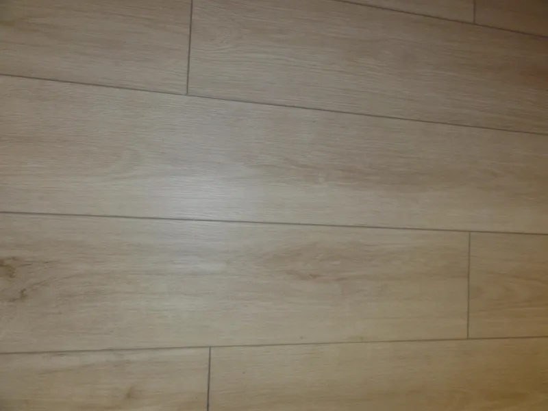 Slide: The Image of Meridian 441 Sedan 2009 - 58