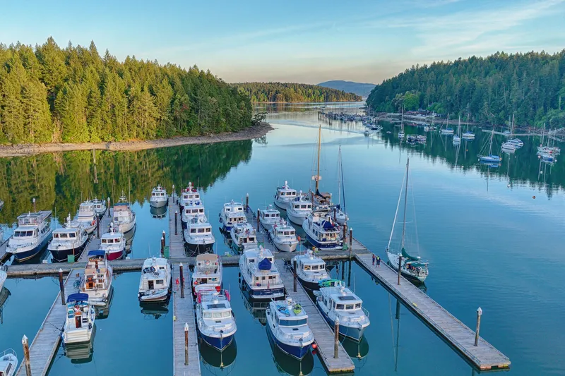 Slide: The Image of Marina with American Tug 41 boats, 2007 model, surrounded by lush forest and calm waters. - 48