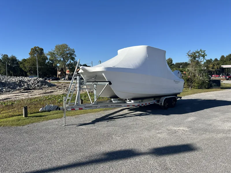 The Image of World Cat 230 DC 2026 - 1