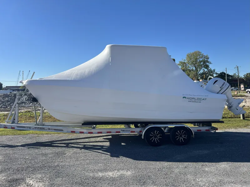 Slide: The Image of World Cat 230 DC 2026 - 2