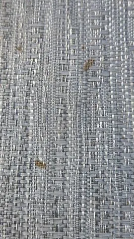 Slide: The Image of Godfrey Xperience 2086 FX 2023 - 21