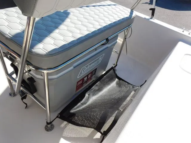 Slide: The Image of Carolina E16 JVX CC 2026 - 10