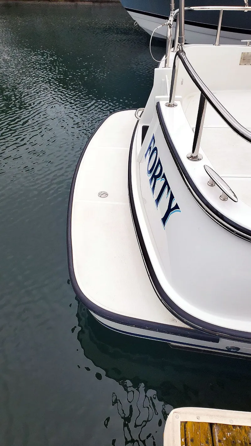 Slide: The Image of Swim Platform - 62