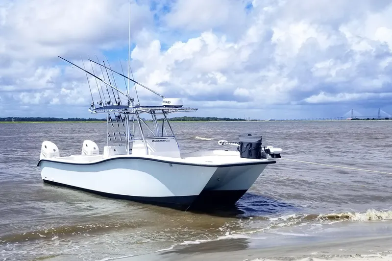 The Image of 2020 AmeraCat 27cc boat anchored on a sandy shore under a cloudy sky. - 0