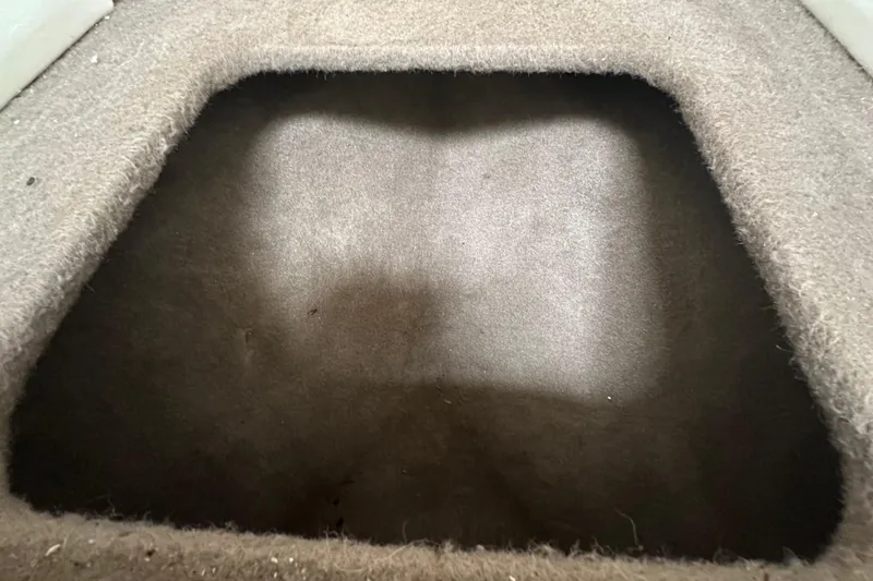Slide: The Image of Interior storage compartment of a 2014 Larson Cabrio 265 boat, featuring carpeted lining. - 39