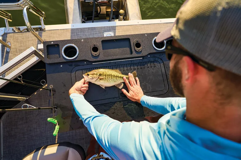 Slide: The Image of 2026 Sun Tracker Sportfish 24 XP3 interior with gray seating and carpeted flooring. - 11