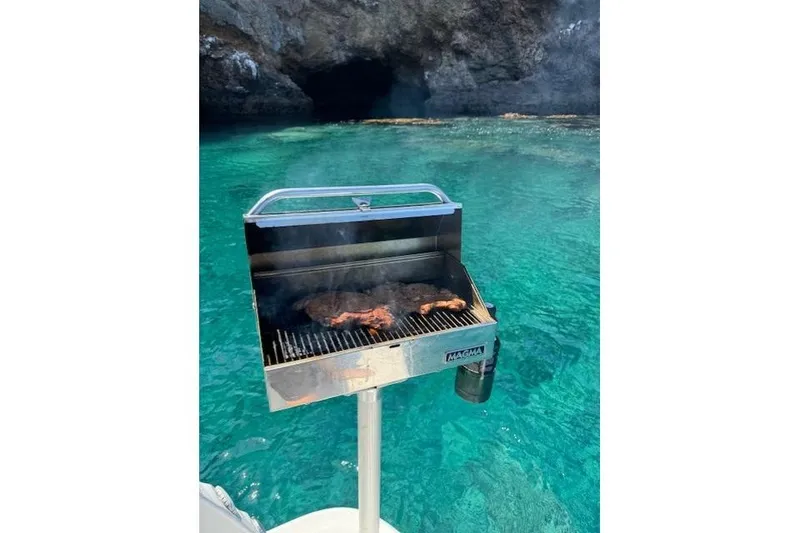 Slide: The Image of Grill on Bayliner 255 Cruiser, 2010, with scenic ocean backdrop. - 53