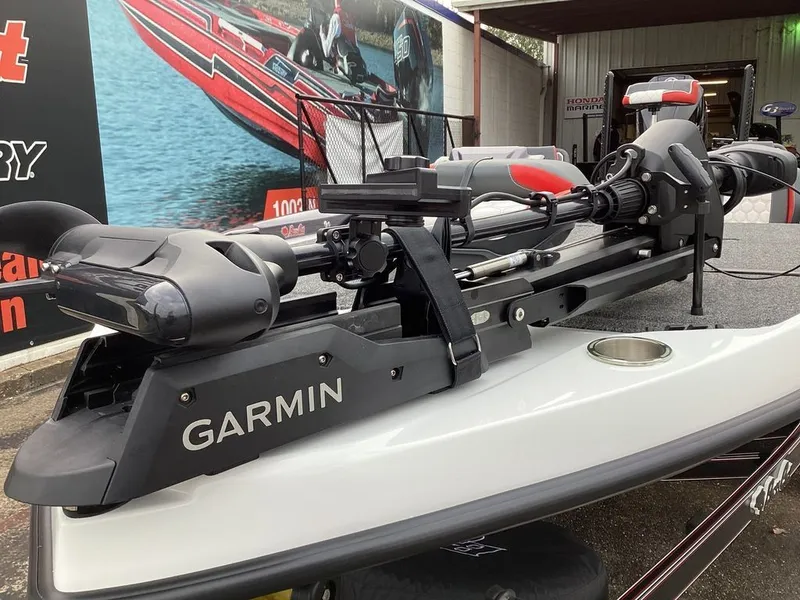 Slide: The Image of Bass Cat Lynx STS 2026 - 29