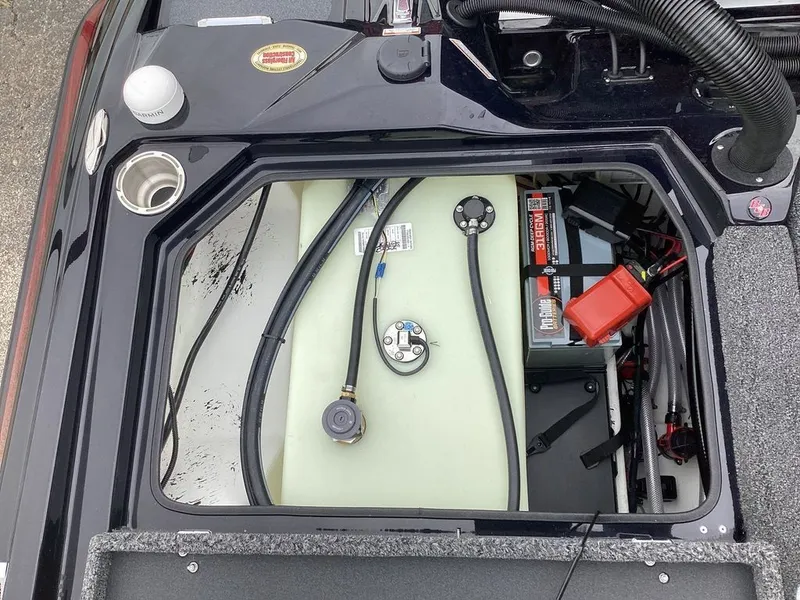 Slide: The Image of Bass Cat Lynx STS 2026 - 29