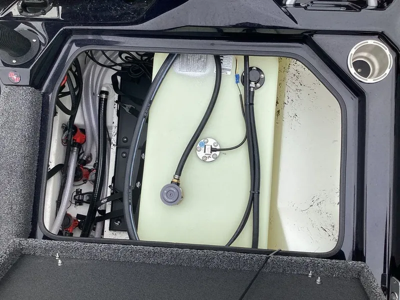 Slide: The Image of Bass Cat Lynx STS 2026 - 30