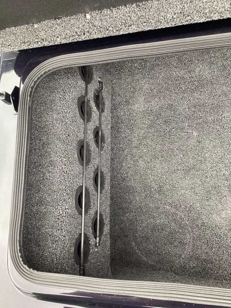 Slide: The Image of Bass Cat Lynx STS 2026 - 50