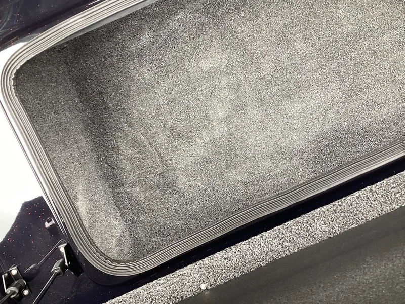 Slide: The Image of Bass Cat Lynx STS 2026 - 58