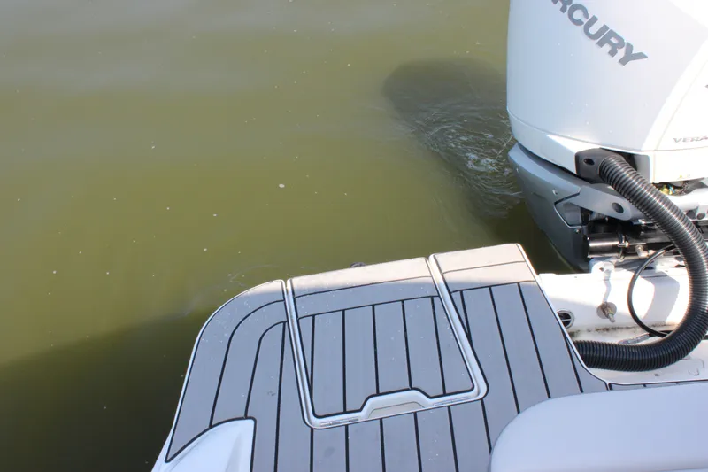 Slide: The Image of Sea Ray SDX 230 Outboard 2026 - 57