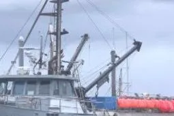 Slide: The Image of 1979 Custom Longliner 58 fishing boat docked with orange buoys in background. - 2