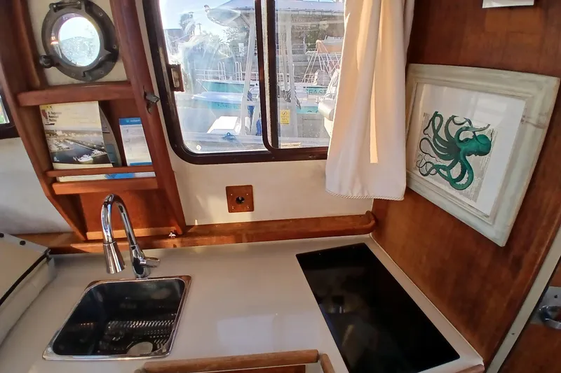 Slide: The Image of 2009 Ranger Tugs R-25 interior with sink, stove, and octopus artwork. - 15