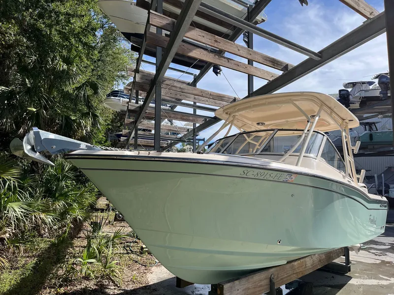 The Image of Grady-White Freedom 255 2024 - 1