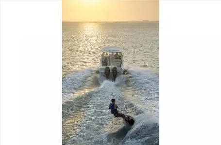 Slide: The Image of Grady-White Freedom 255 2024 - 18