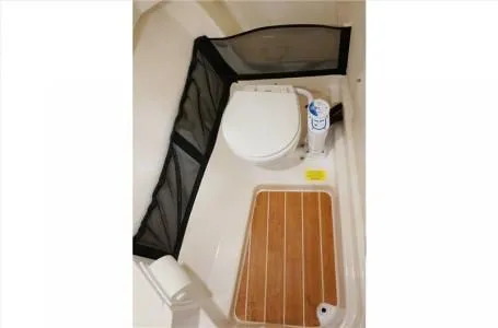 Slide: The Image of Grady-White Freedom 255 2024 - 3