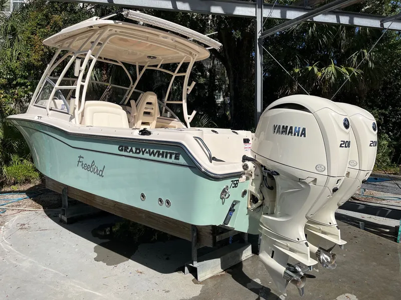 Slide: The Image of Grady-White Freedom 255 2024 - 7