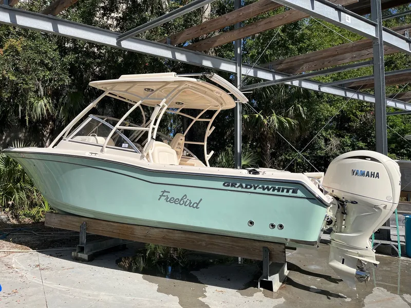 Slide: The Image of Grady-White Freedom 255 2024 - 8