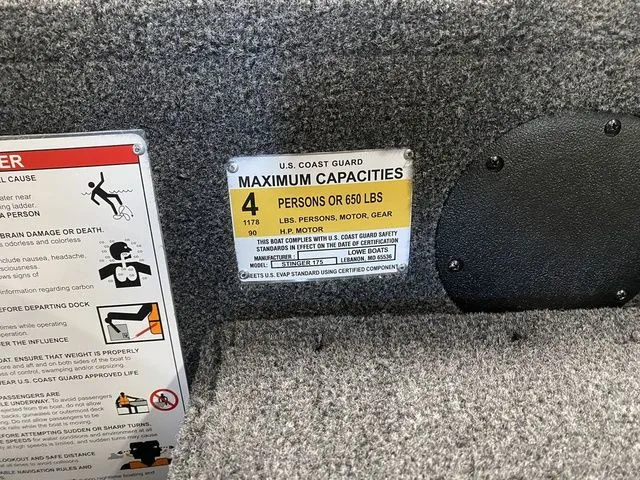 Slide: The Image of Lowe Stinger 175C 2026 - 8