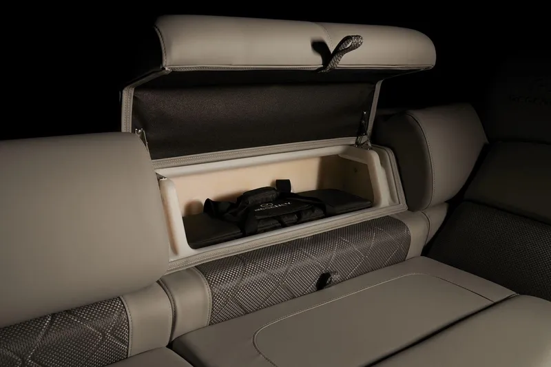 Slide: The Image of Regency 250 LE3 Sport 2025 - 26