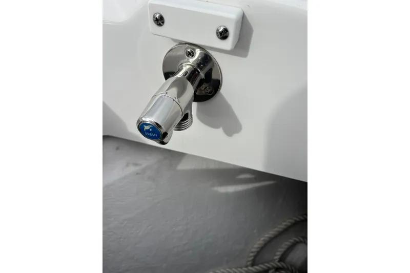 Slide: The Image of Blackfin 272 CC 2019 - 43