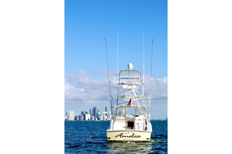 Slide: The Image of 2006 Topaz Express Cruiser on water with city skyline in background. - 5