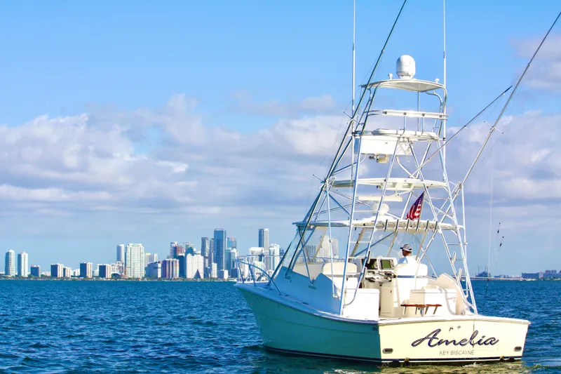 Slide: The Image of 2006 Topaz Express Cruiser on water with city skyline in background. - 6