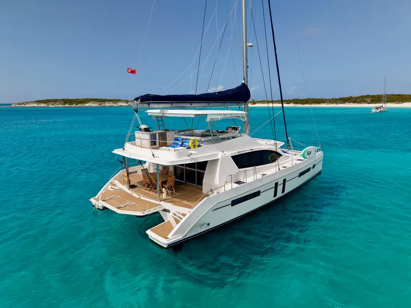 Slide: The Image of Leopard 58 2019 - 1