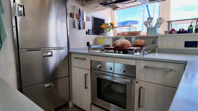 Slide: The Image of Leopard 58 2019 - 21