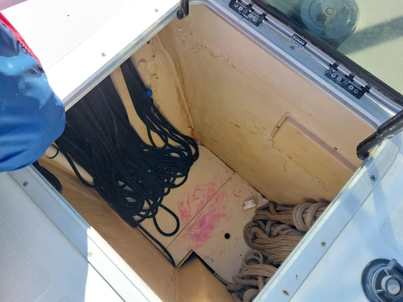 Slide: The Image of Hunter 49 2009 - 79