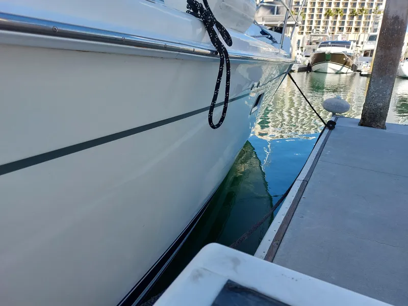 Slide: The Image of Hunter 49 2009 - 94