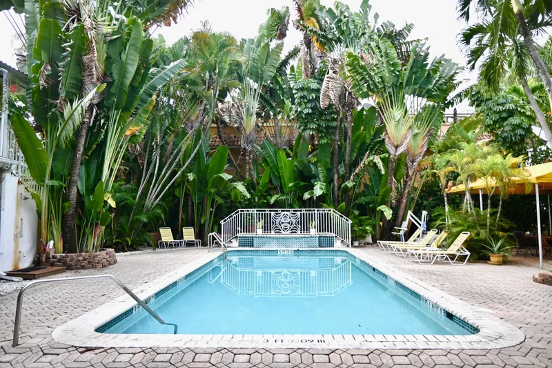 Slide: The Image of Tropical poolside with lush greenery and lounge chairs, surrounded by palm trees. - 32