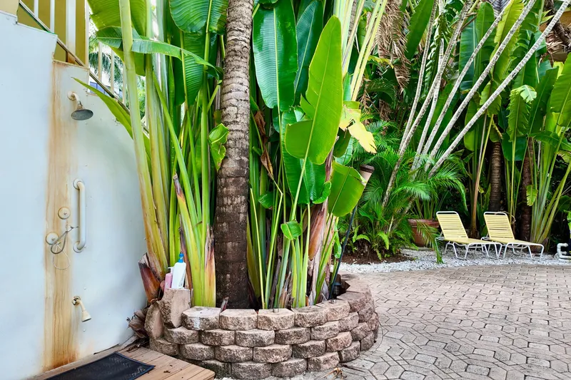Slide: The Image of Outdoor shower with tropical plants and lounge chairs, Catamaran Cruisers Aqua Cruiser 44, 1996. - 33