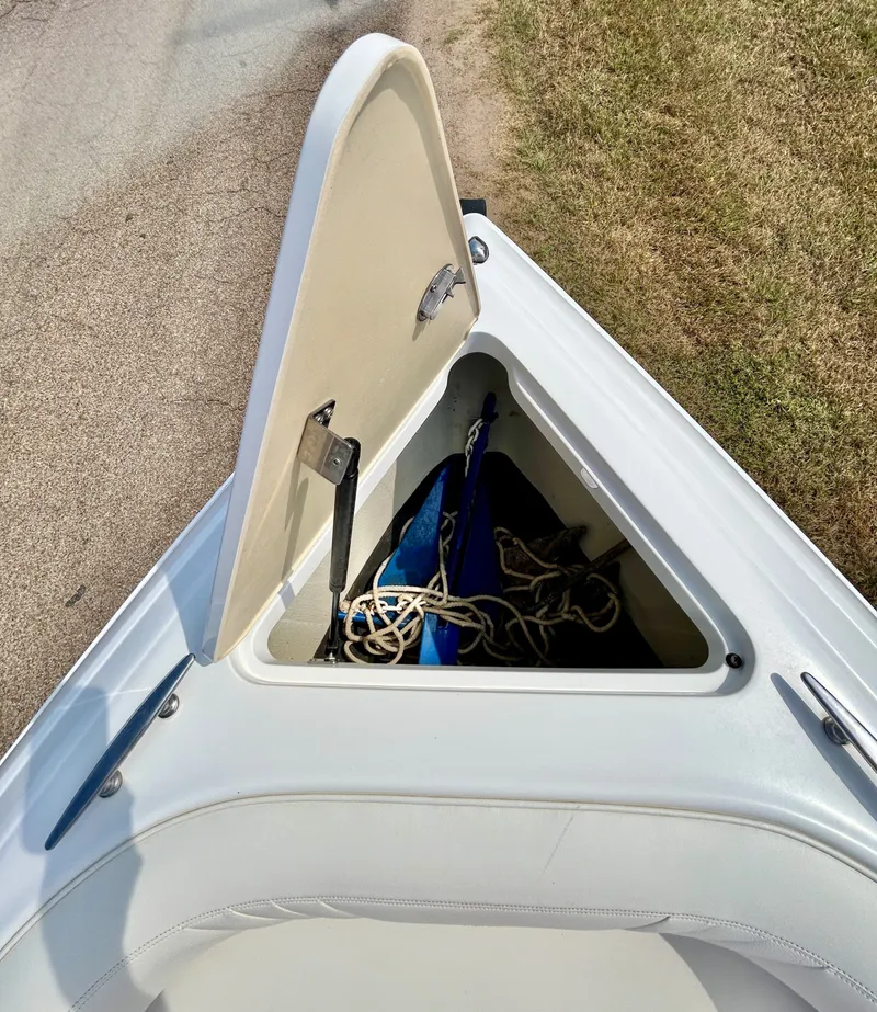 Slide: The Image of Cobalt 232 2008 - 14