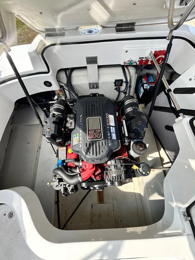 Slide: The Image of Cobalt 232 2008 - 48