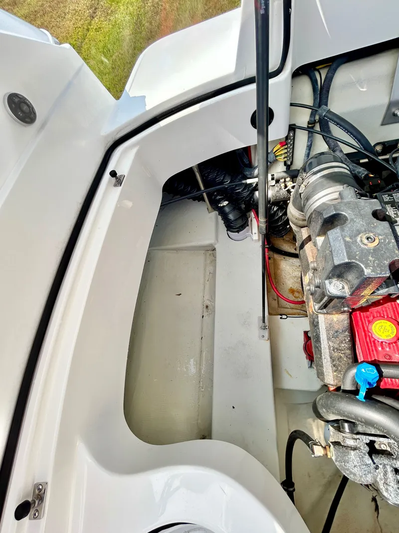 Slide: The Image of Cobalt 232 2008 - 49