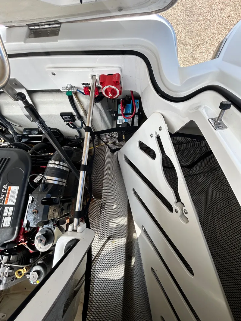 Slide: The Image of Cobalt 232 2008 - 50