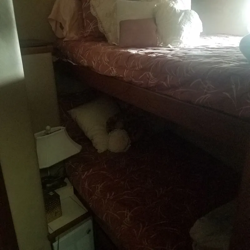 Slide: The Image of Cobalt R8 Surf 2026 - 29