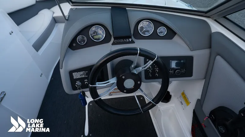 Slide: The Image of Cobalt 200 2016 - 16