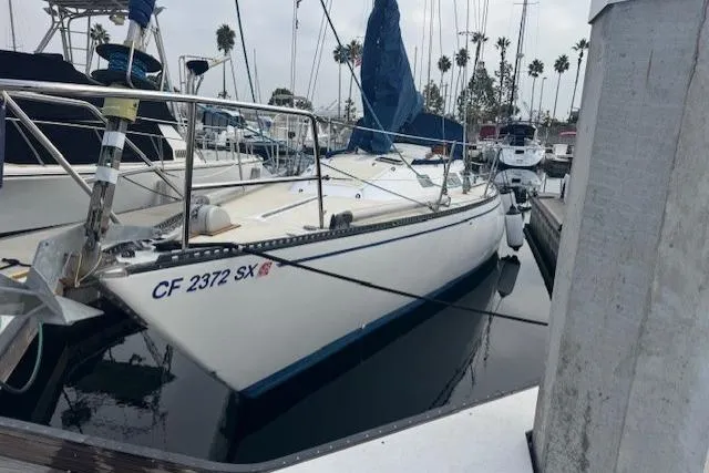 The Image of 1982 Catalina 38 sailboat docked in marina, surrounded by other boats. - 0