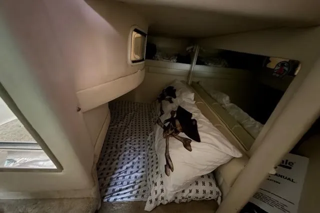 Slide: The Image of 1999 Sea Ray 270 Sundancer cabin interior with bed and window view. - 20