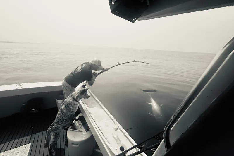 Slide: The Image of Man fishing with dog on 1981 Holland 32 Sport Cruiser, ocean view. - 12