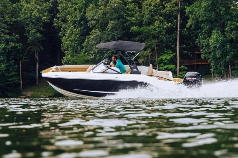 Slide: The Image of Manufacturer Provided Image: 2025 Bayliner D20 boat cruising on a lake with lush green forest backdrop. - 2